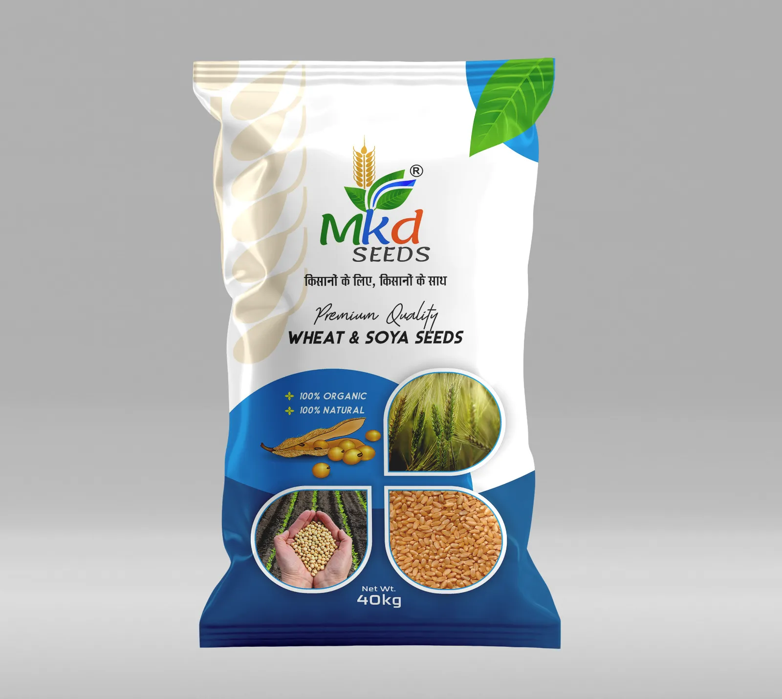Wheat Raj 3077